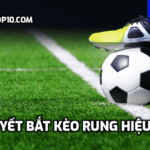 Bí quyết bắt kèo rung hiệu quả