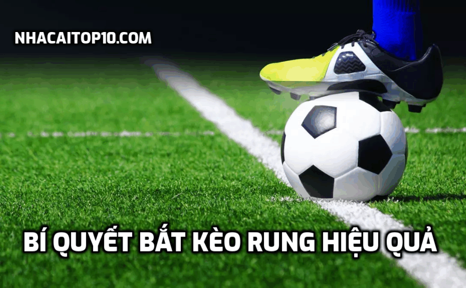 Bí quyết bắt kèo rung hiệu quả