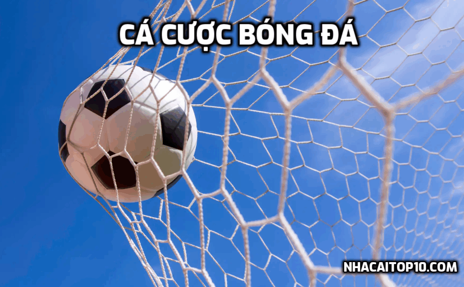 Cá cược bóng đá