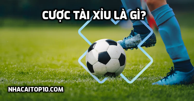 Cược Tài Xỉu là gì?