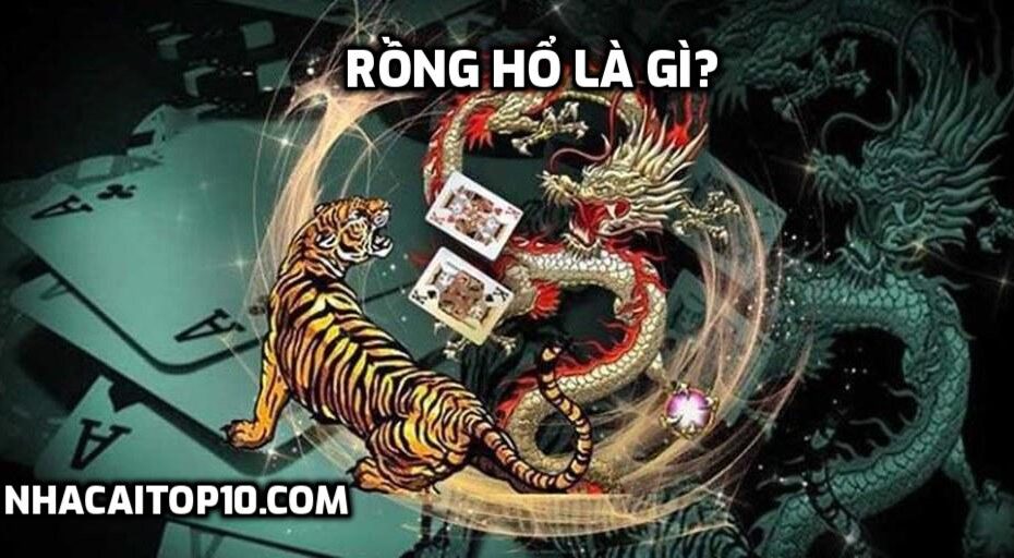 Rồng Hổ là gì?