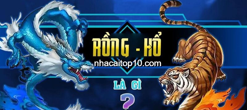 Tìm hiểu Rồng Hổ 