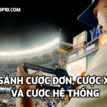 So sánh cược đơn, cược xiên và cược hệ thống