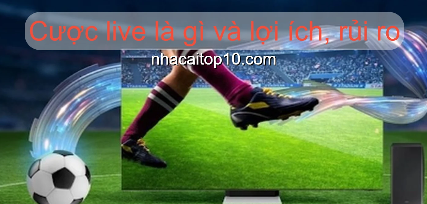 Tìm hiểu cược live 